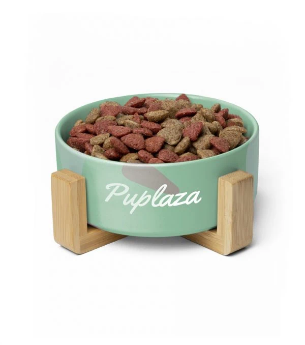 New Elevated Food Bowl