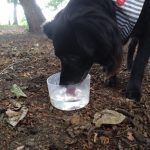 Kategorien Kategorien