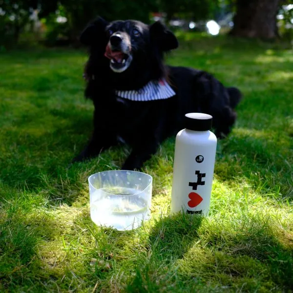 Faltbarer Reise-Napf Mobowl – Bild 10