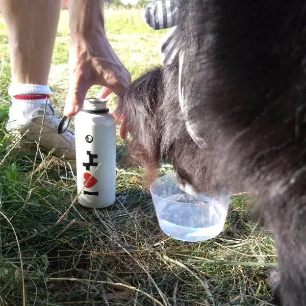 Faltbarer Reise-Napf Mobowl – Bild 9