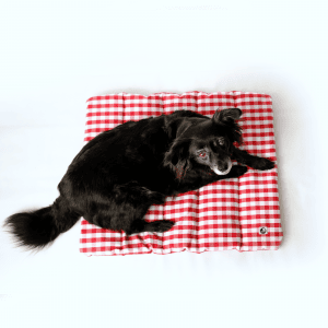 Hund auf karierter Decke, die in Hamburg hergestellt wurde