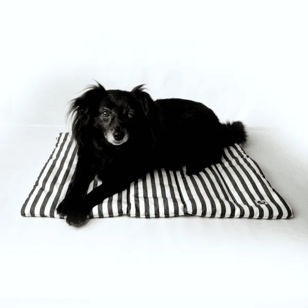 Hund auf gestreifter Decke, die in Hamburg hergestellt wurde